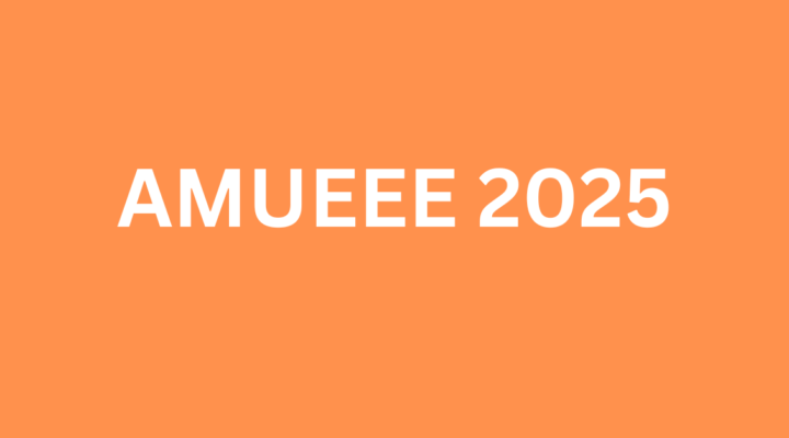 AMUEEE 2025